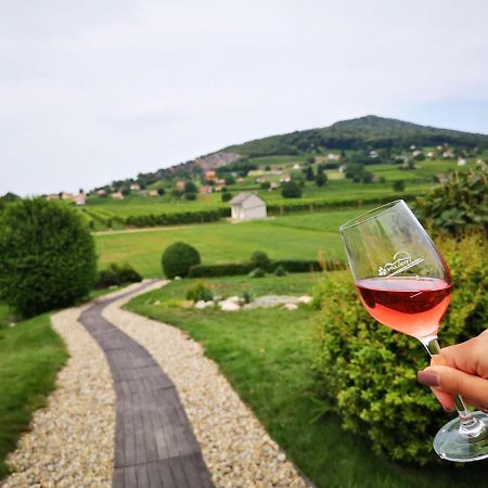 Roze Vendeghaz Hotell Villány Exteriör bild